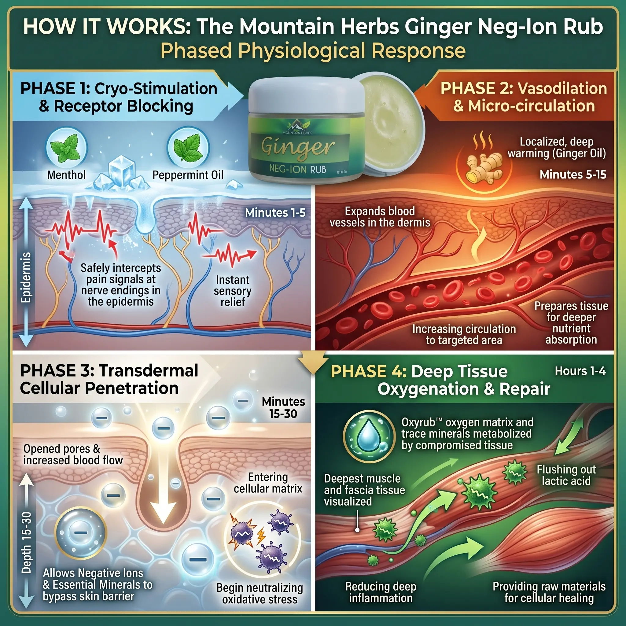 How Ginger Negative Ion Rub works