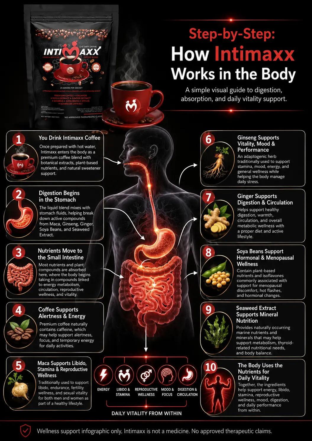 How Intimaxx Premium Coffee works