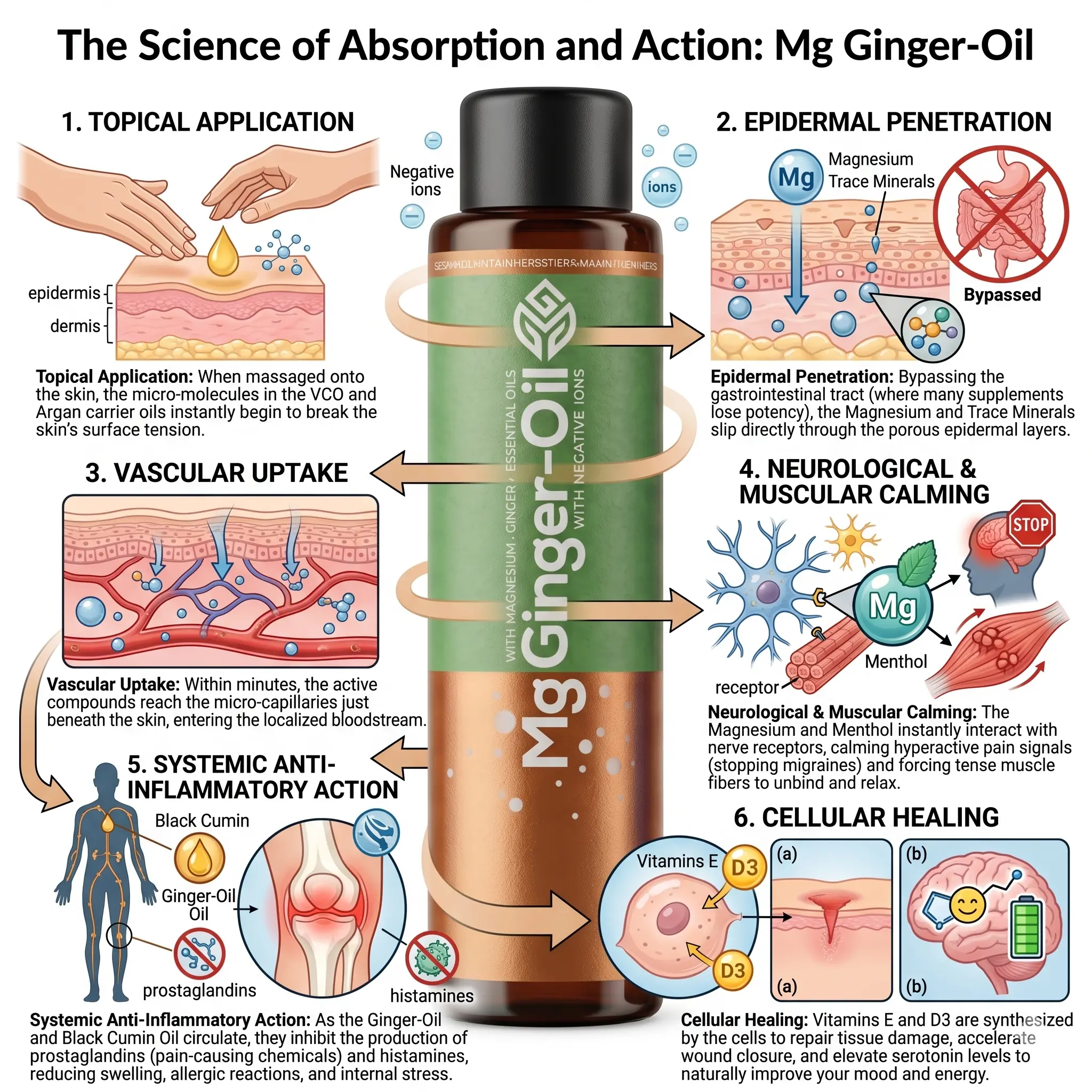 How Mg Ginger-Oil works